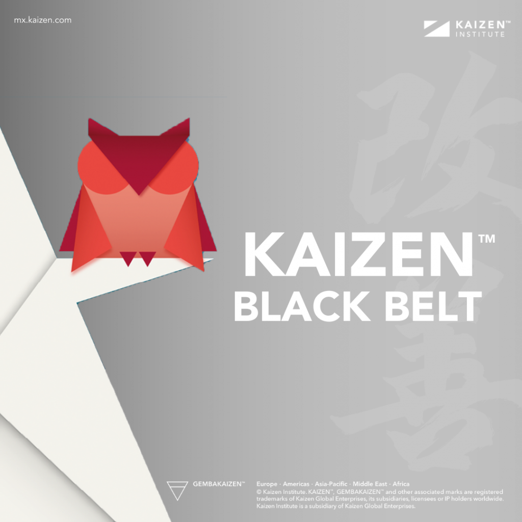 KAIZEN Black Belt