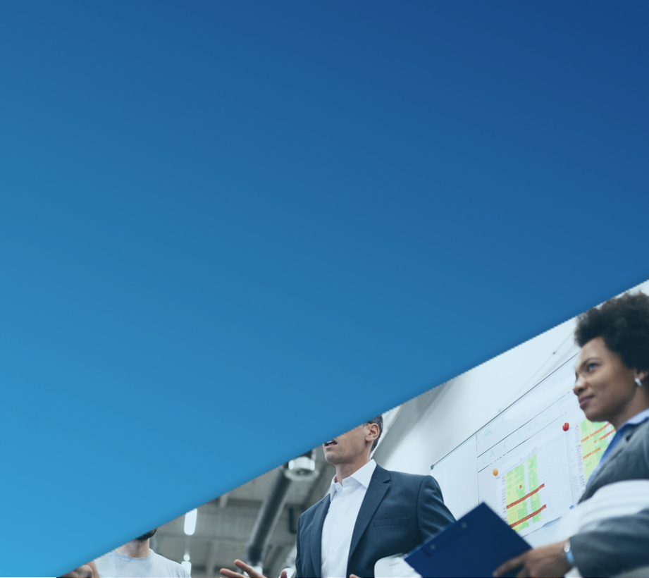 Lean Six Sigma Consulting Services