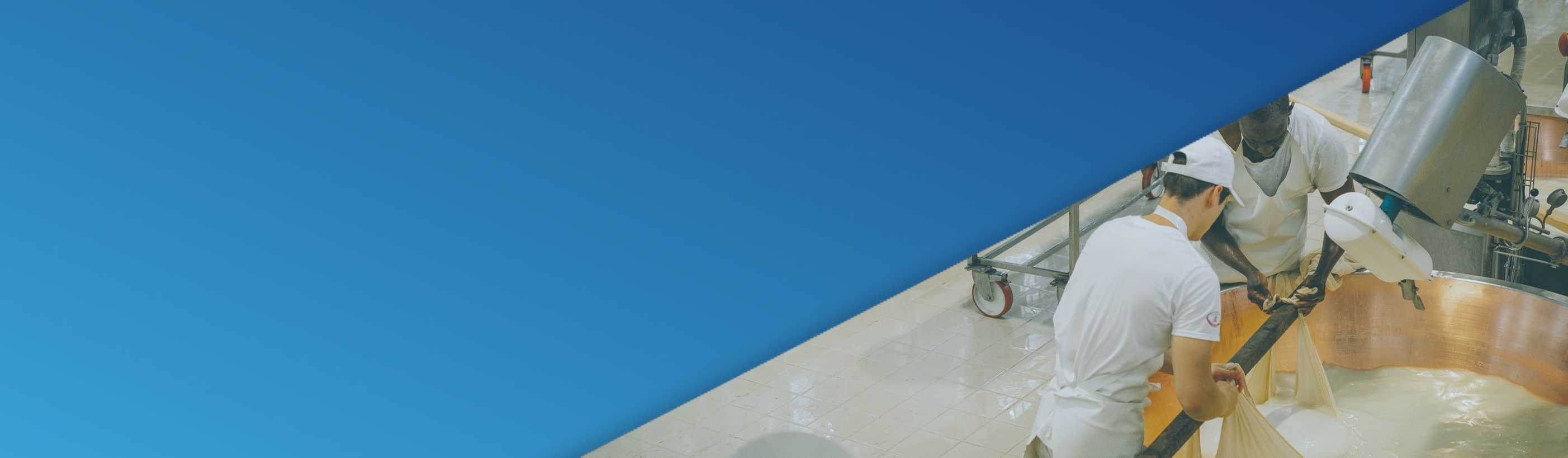 Food and Beverage Consulting