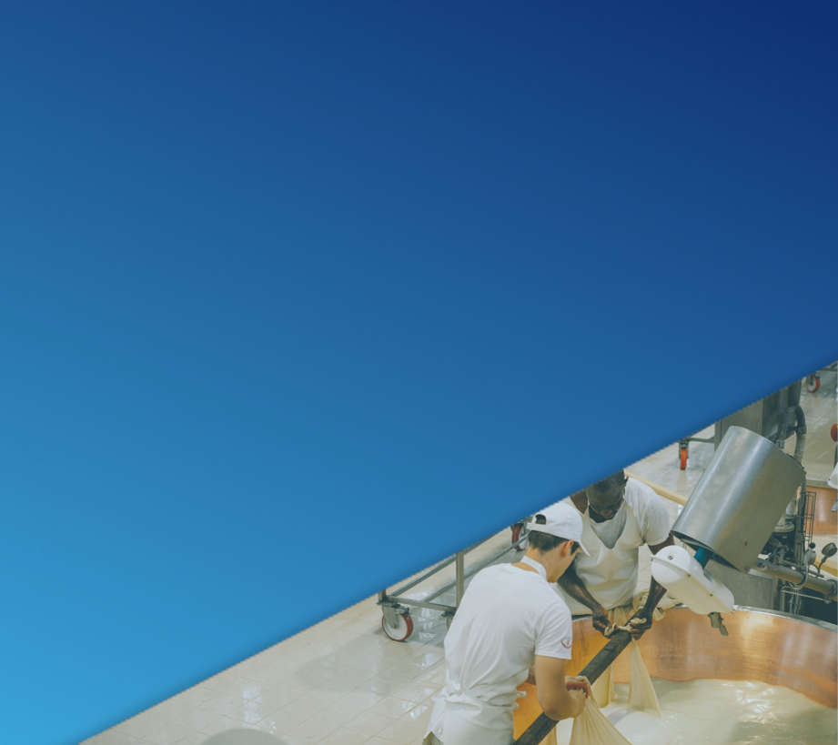 Food and Beverage Consulting