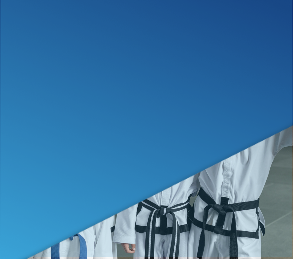 Lean Six Sigma belts