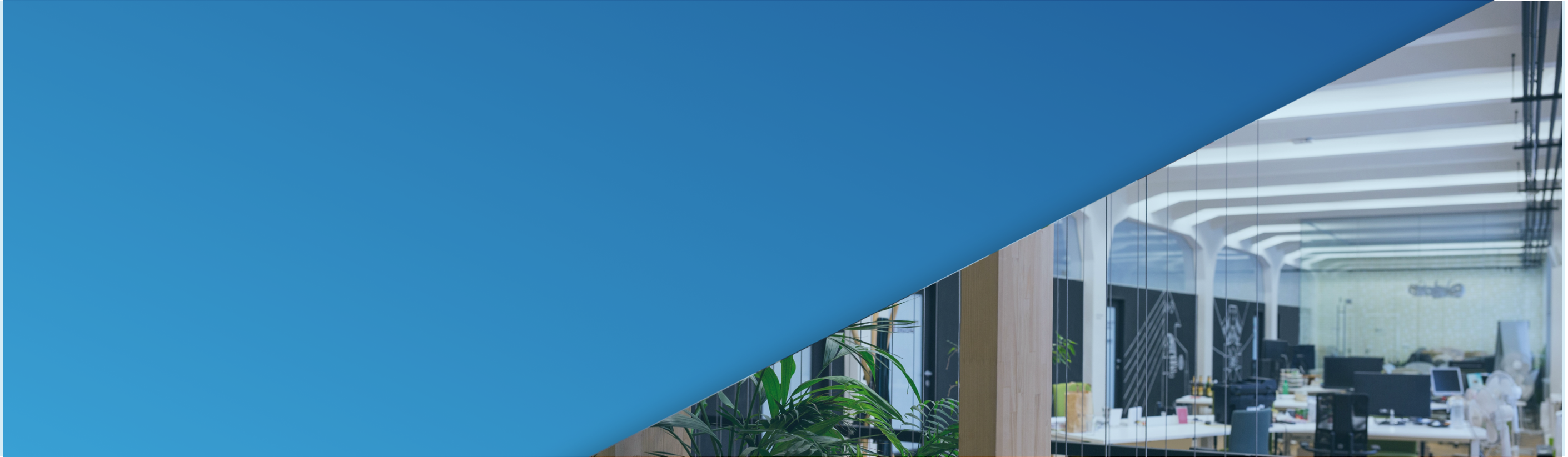 Office: Transactional Processes