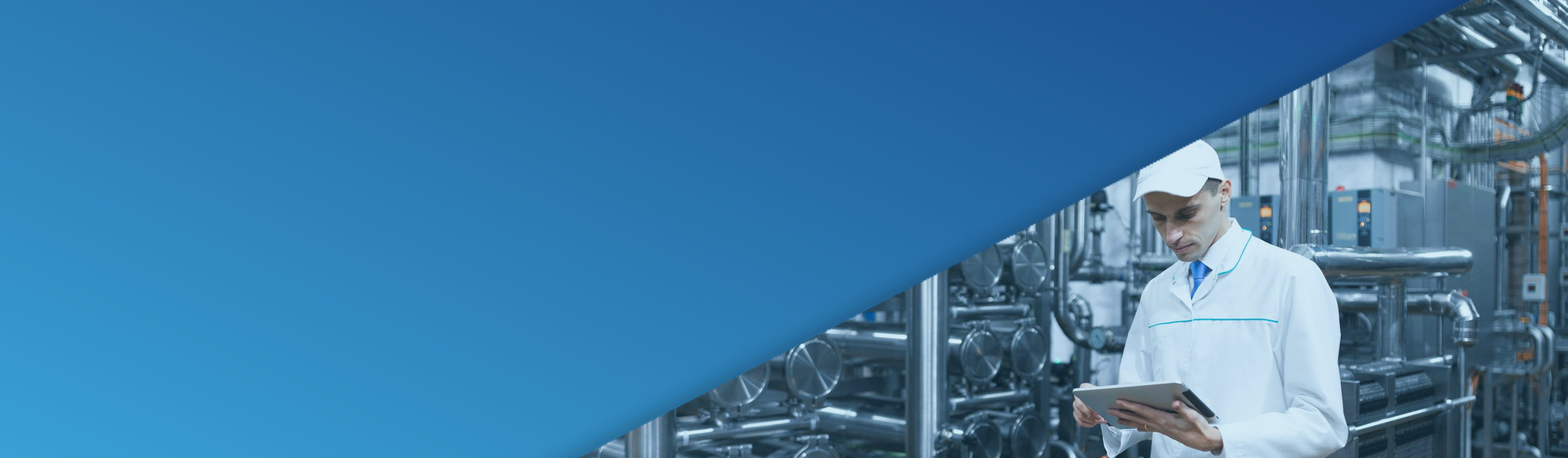 Process Manufacturing Consulting